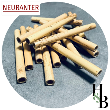Roseaux pour cor anglais en canon Neuranter