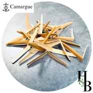 Oboe cane from Camargue