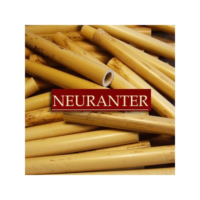 roseaux en canons Neuranter