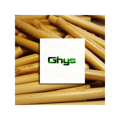 Ghys