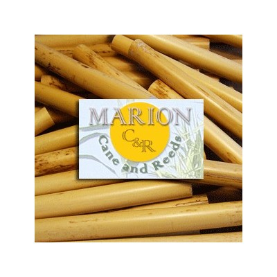 Marion